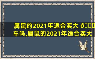 属鼠的2021年适合买大 🐅 车吗,属鼠的2021年适合买大车吗吉利吗